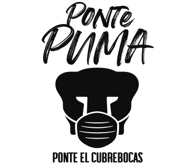 Ponte Puma